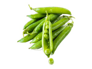 Organic Trimmed Green Beans